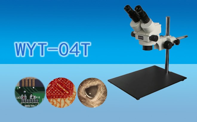 大底座連體視羞羞网页在线观看WYT-04T