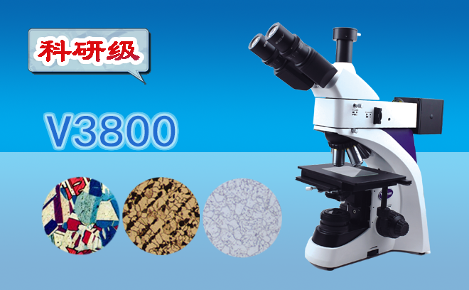 金相羞羞网页在线观看調焦有哪些步驟？