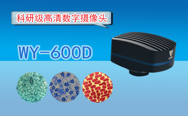 視頻羞羞网页在线观看CCD相機和CMOS相機有哪些區別呢？